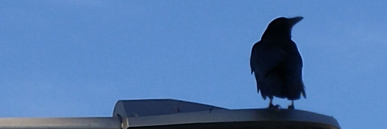 ayaling0421's profile banner image
