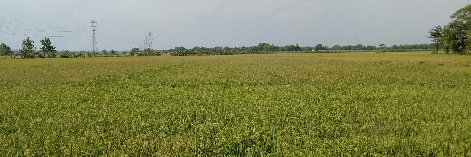 KepakSayapGaruda banner
