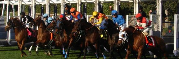 RacingOfficials's profile banner image