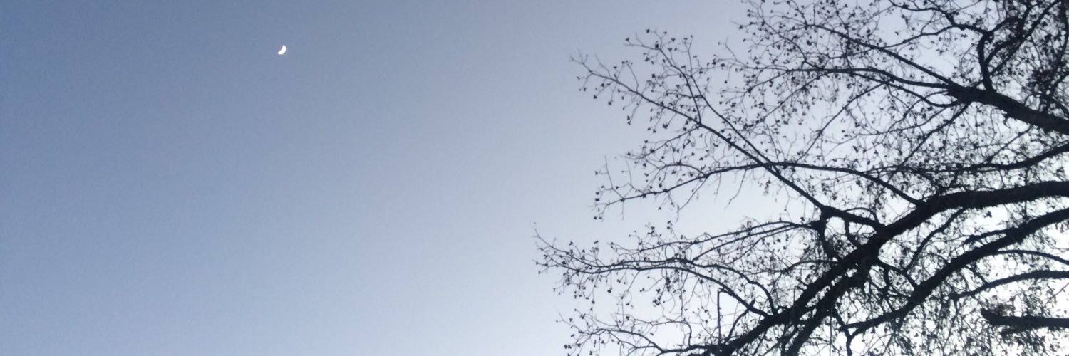 LysBarbas's profile banner image