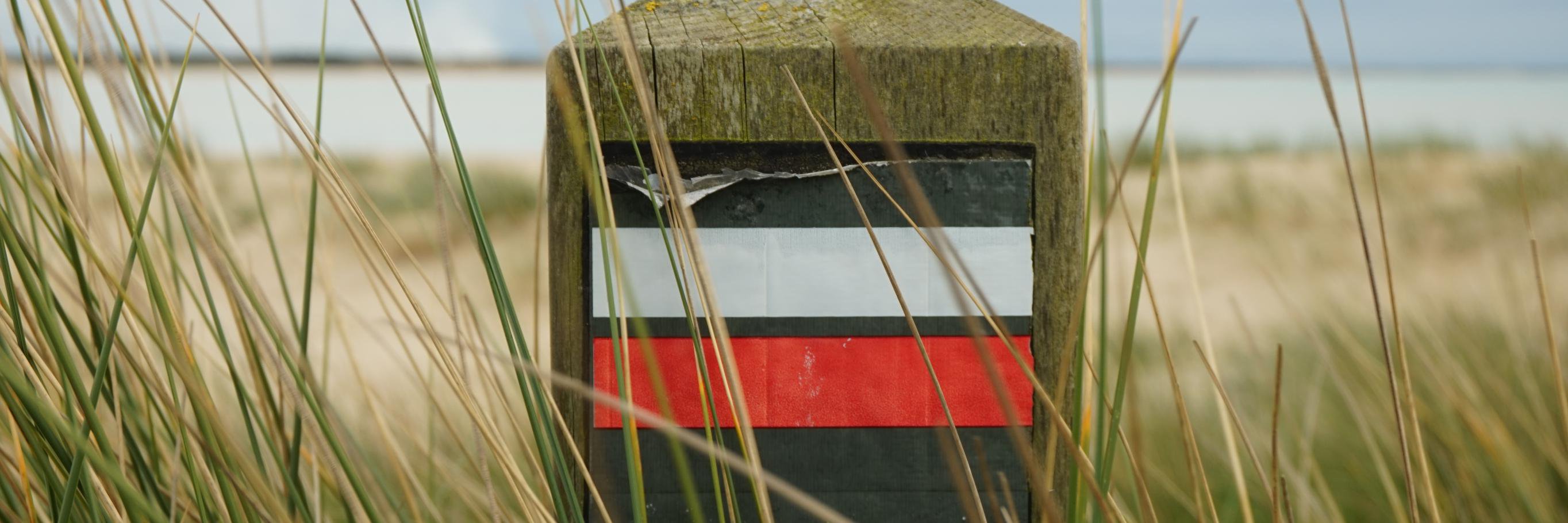 Fabien Pinel ☕ 💻 🚀 banner