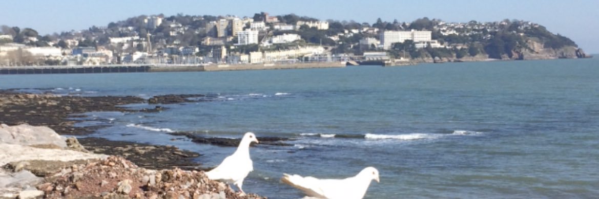 Keith Rodaway banner