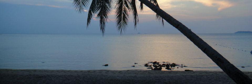 soniah1991's profile banner image