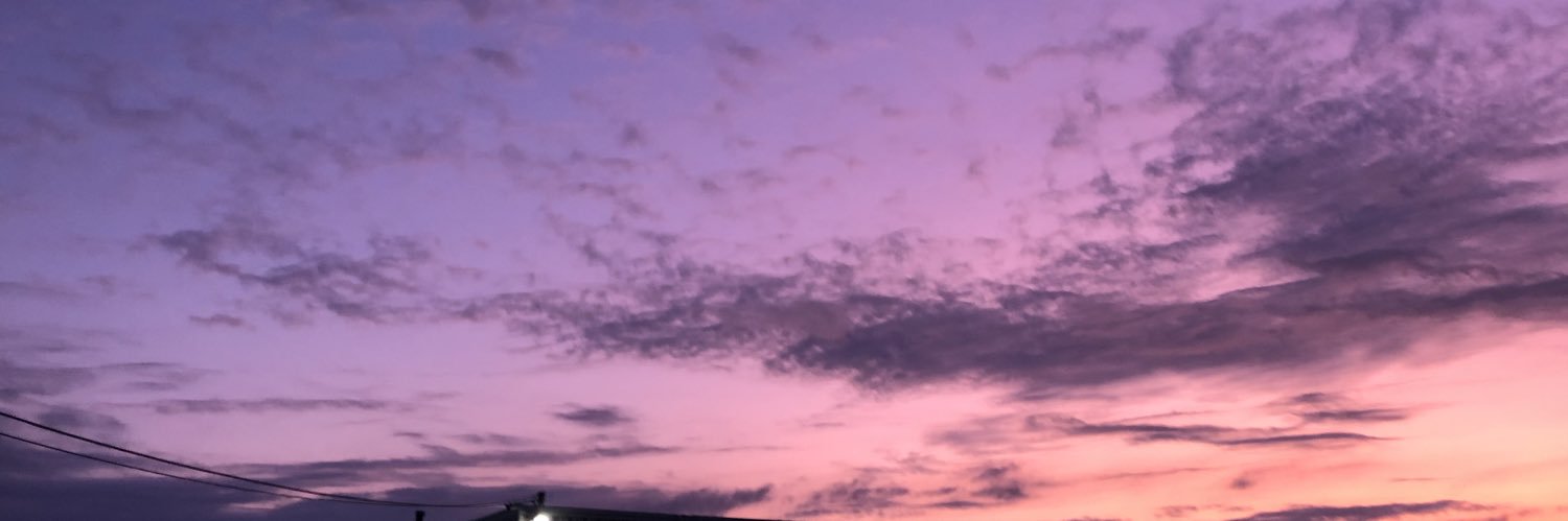 pratt_skyler's profile banner image