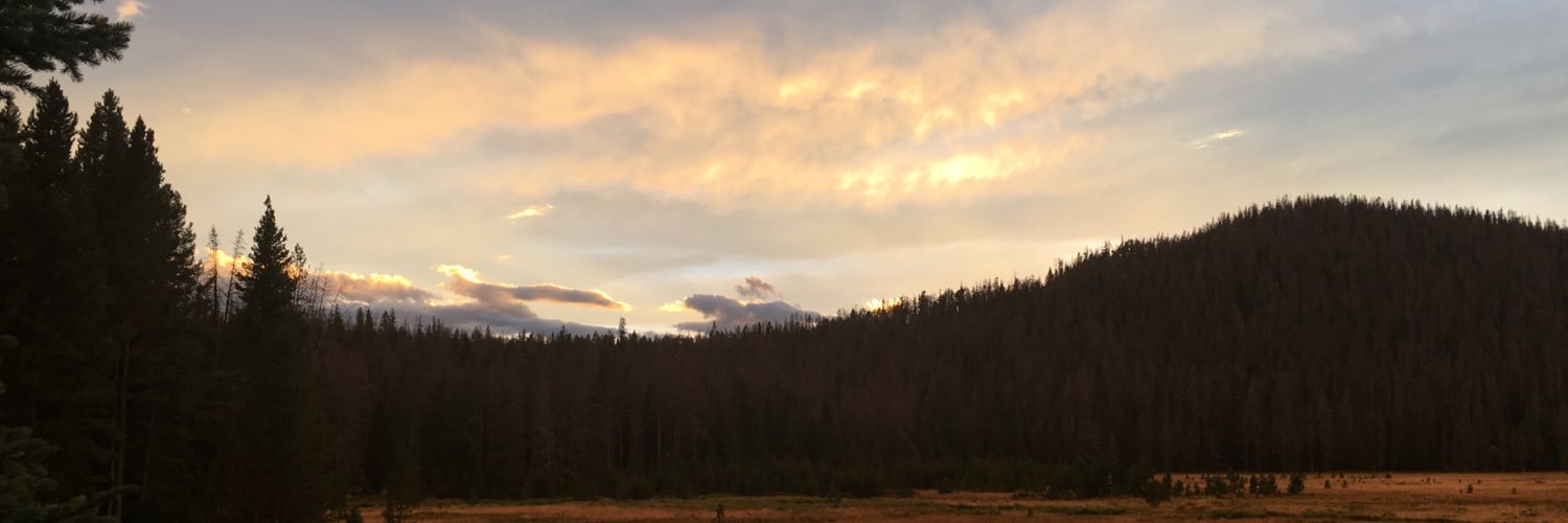 MsAParoo's profile banner image