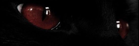 firevisual's profile banner image