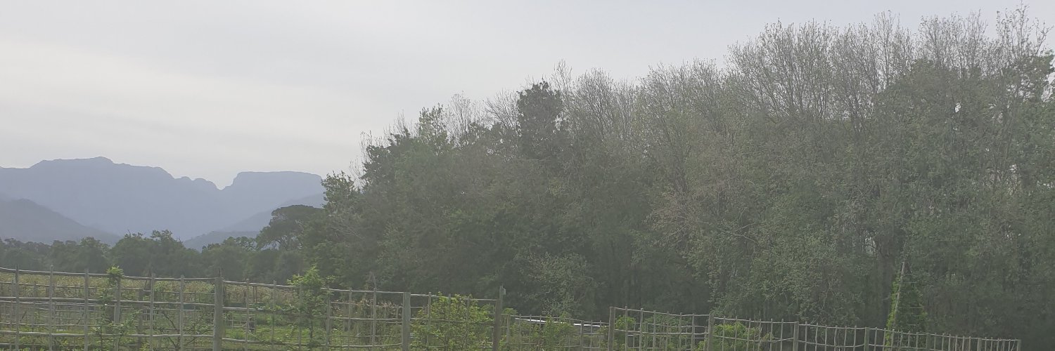 TwinRea's profile banner image