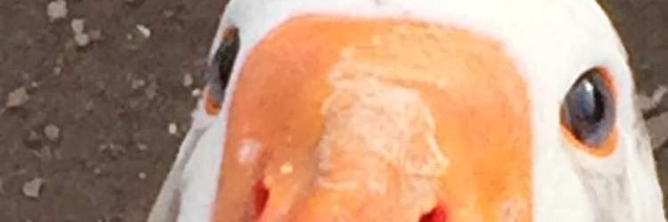 KeithBacik's profile banner image