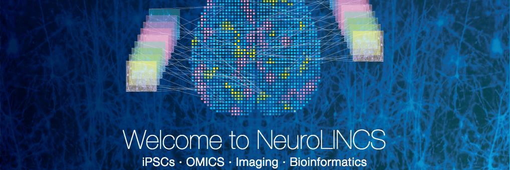 NeuroLINCS's profile banner image