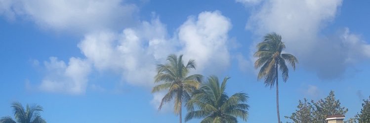 clay_coassin's profile banner image