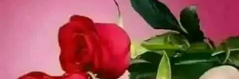 malikbkhan's profile banner image