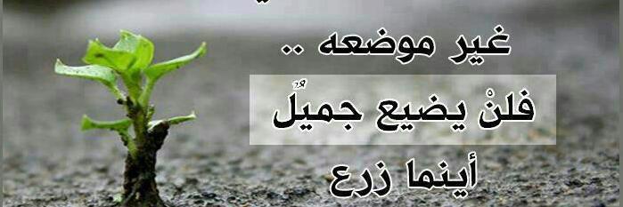 mourad gharbi banner