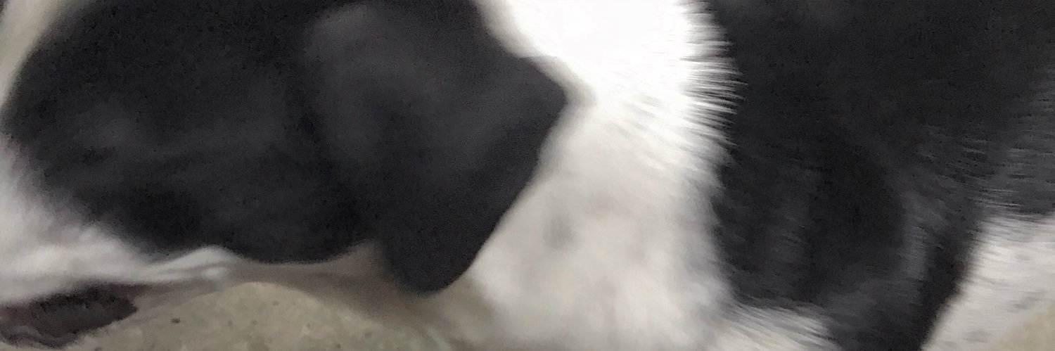 Nthwt_frame's profile banner image