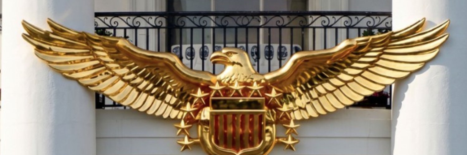TrumpinatorCard's profile banner image