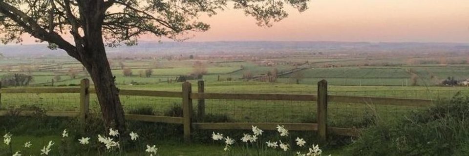 CleoLabs76's profile banner image