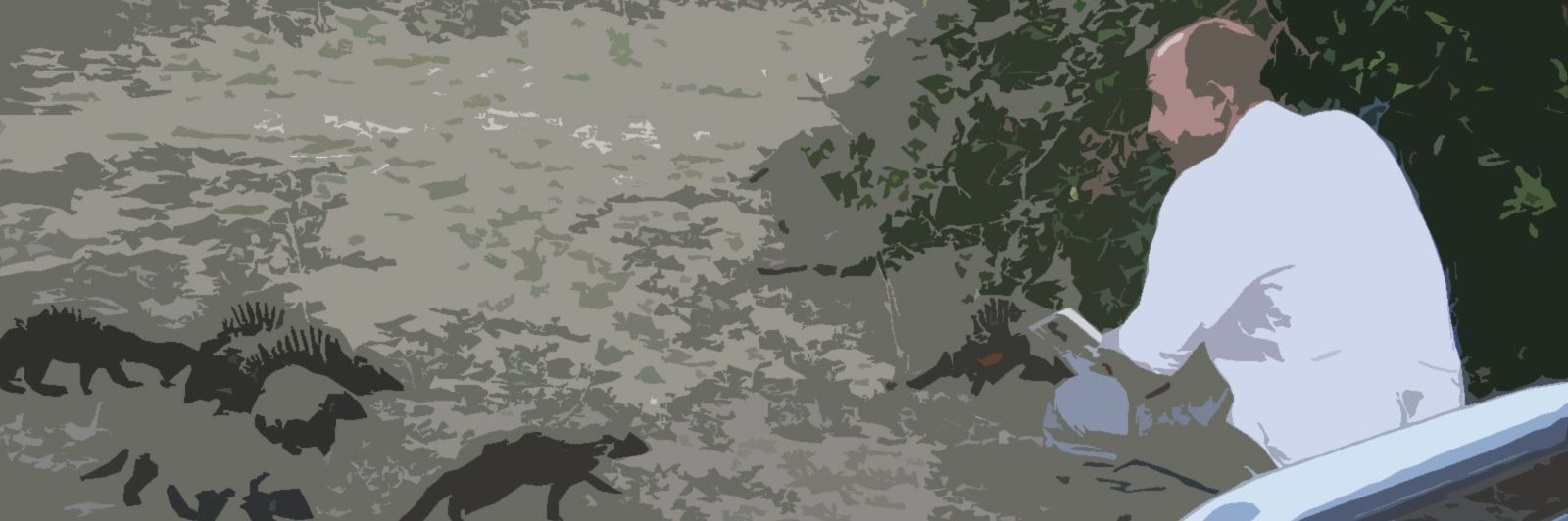 XavierPedrol's profile banner image