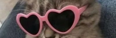 prashan karmacharya banner