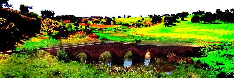 PacoPlaza's profile banner image