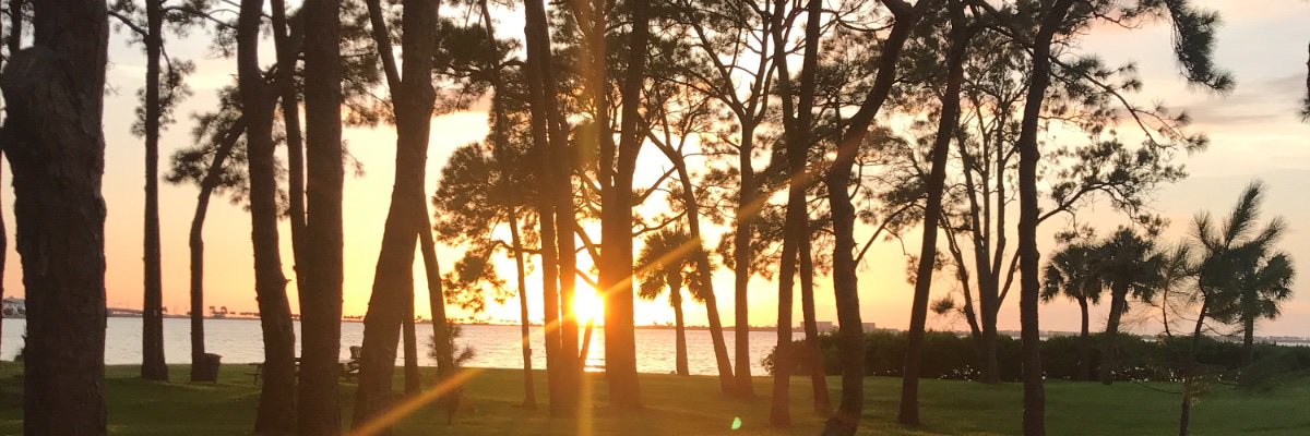 MaryPer70802971's profile banner image