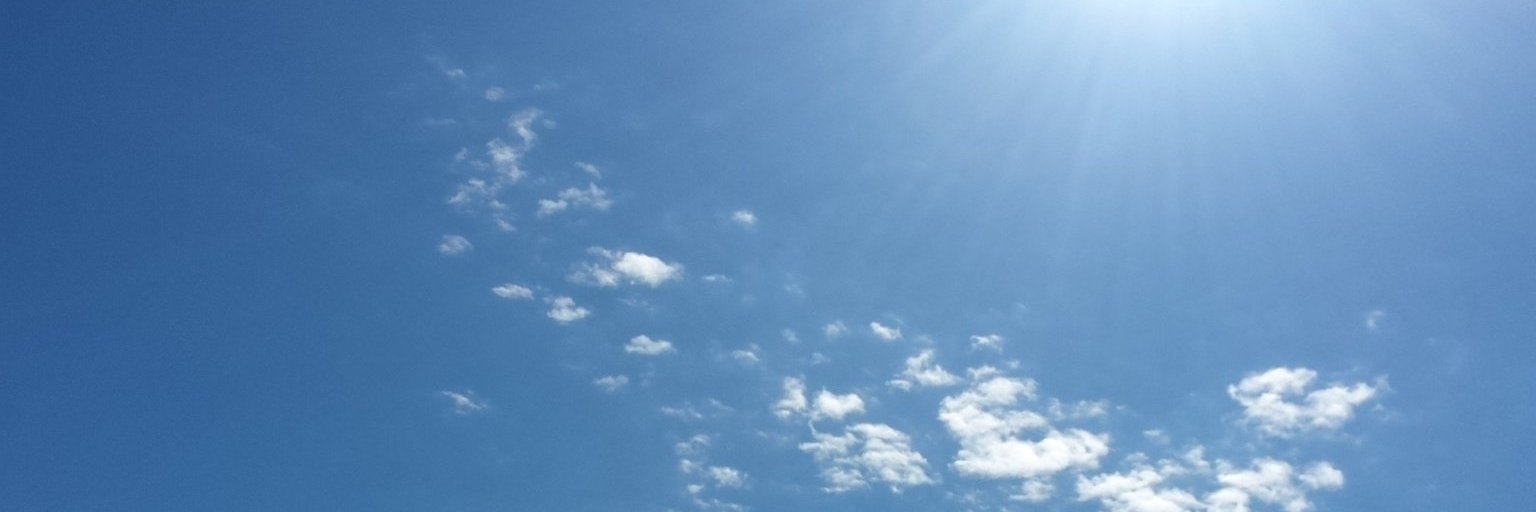 GisellaRuffati's profile banner image