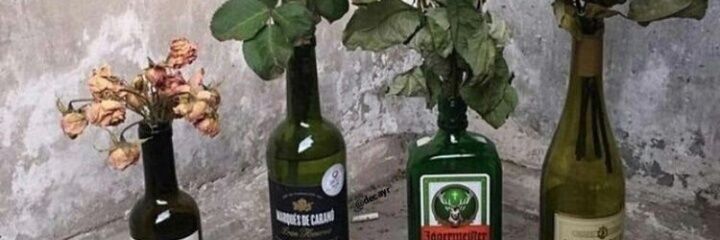 Strange_Slut's profile banner image
