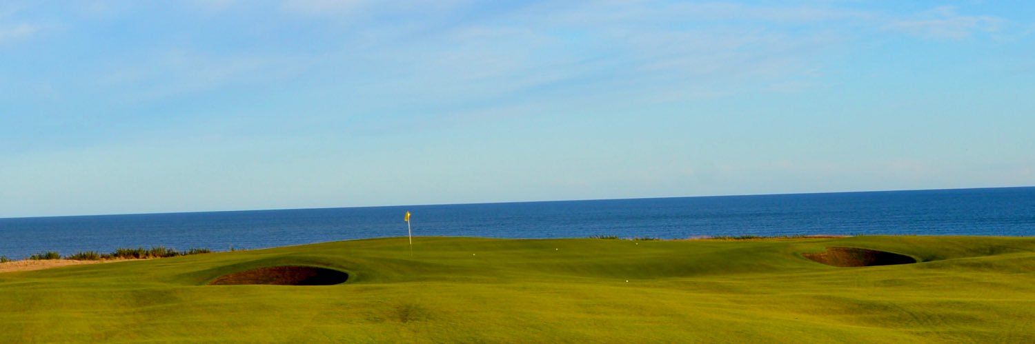 Paul York banner