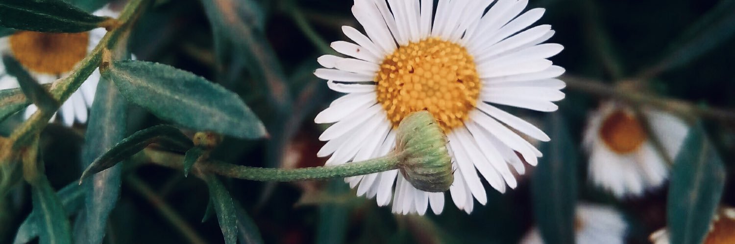 นักกรี้ดแห่งประเทศไทย banner