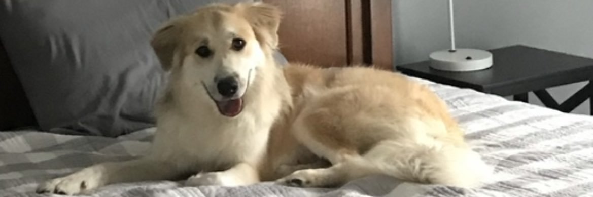 tyrrelljacob's profile banner image