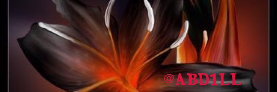 ABD1ll's profile banner image