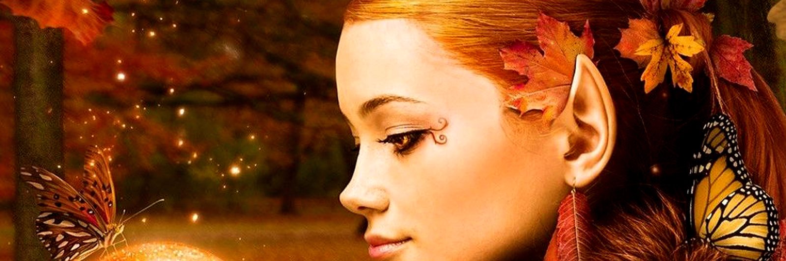 snowflake_mel's profile banner image