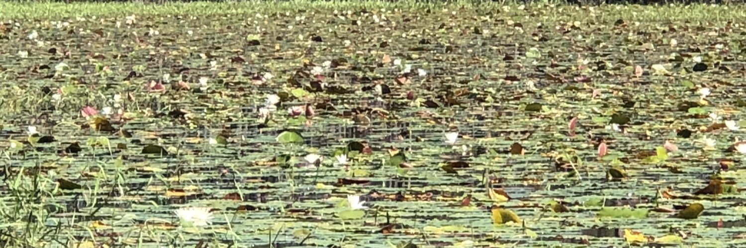 FPIStateParks's profile banner image