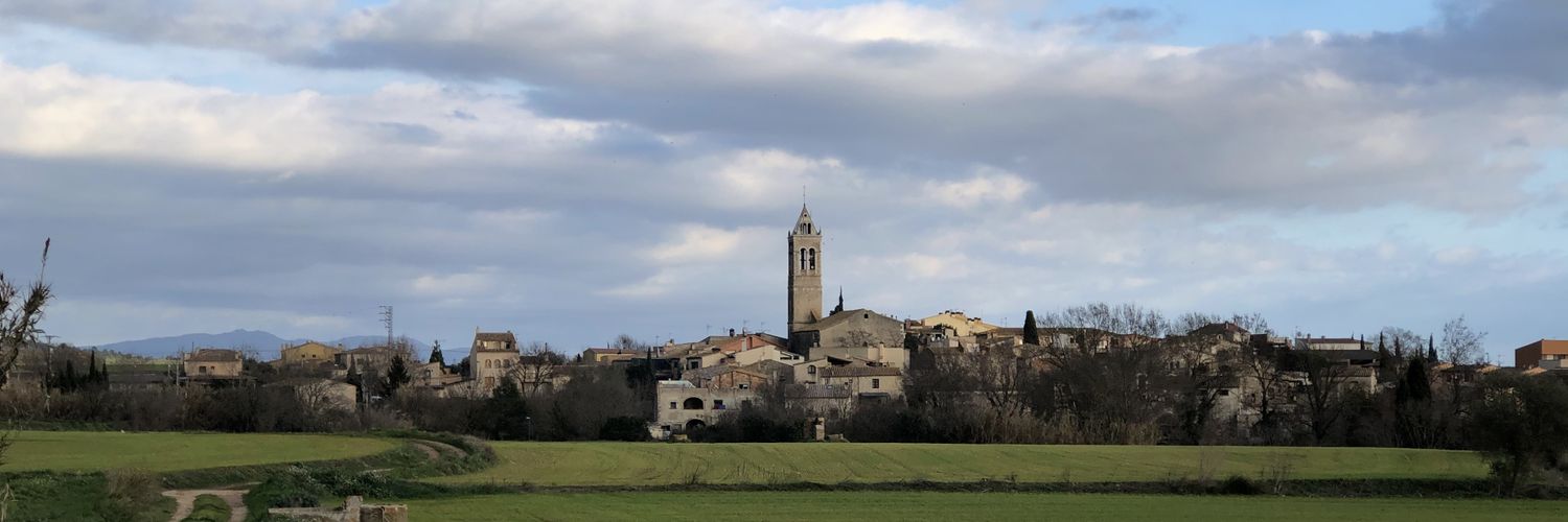 PaletAnna's profile banner image