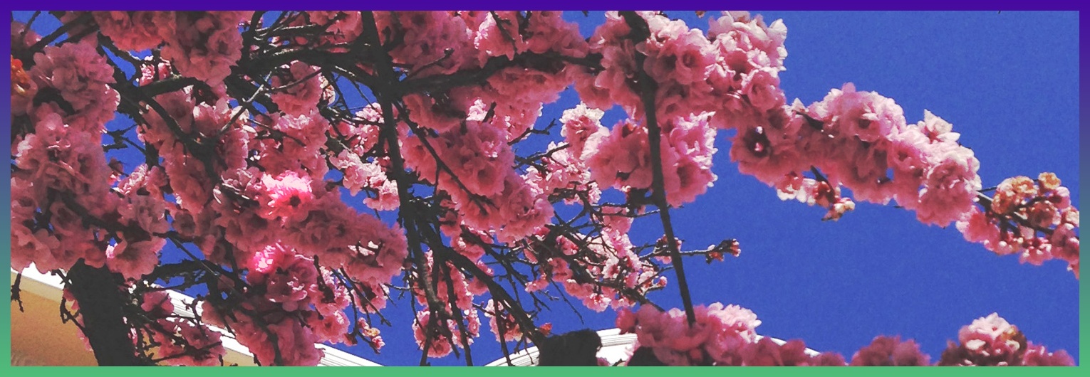 小笨笨^ banner