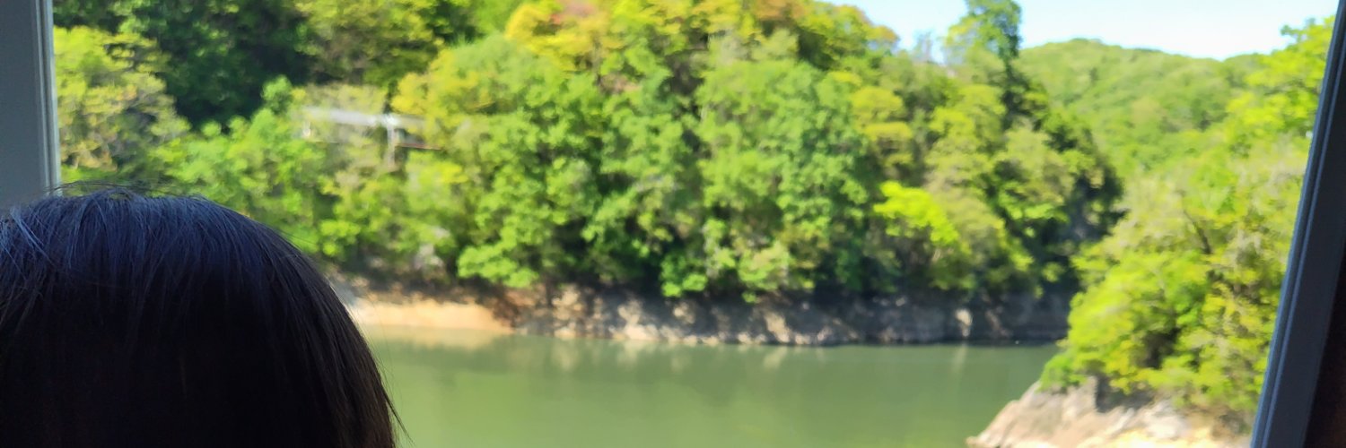 foret_morim's profile banner image