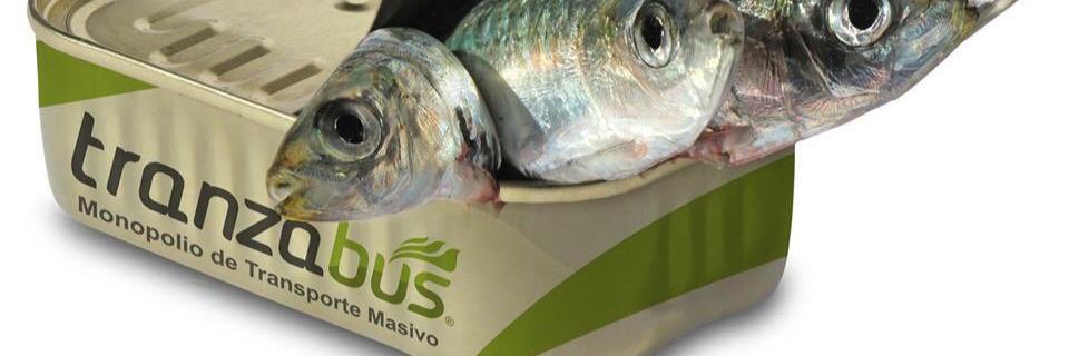 quejasTuzobus's profile banner image