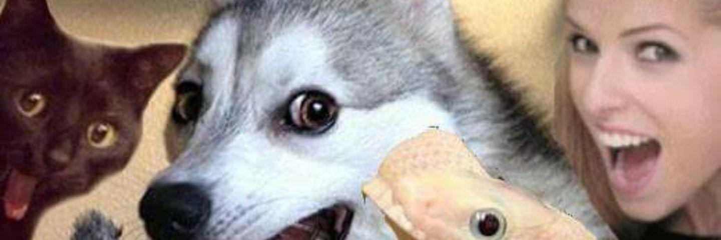 patrick_krah's profile banner image