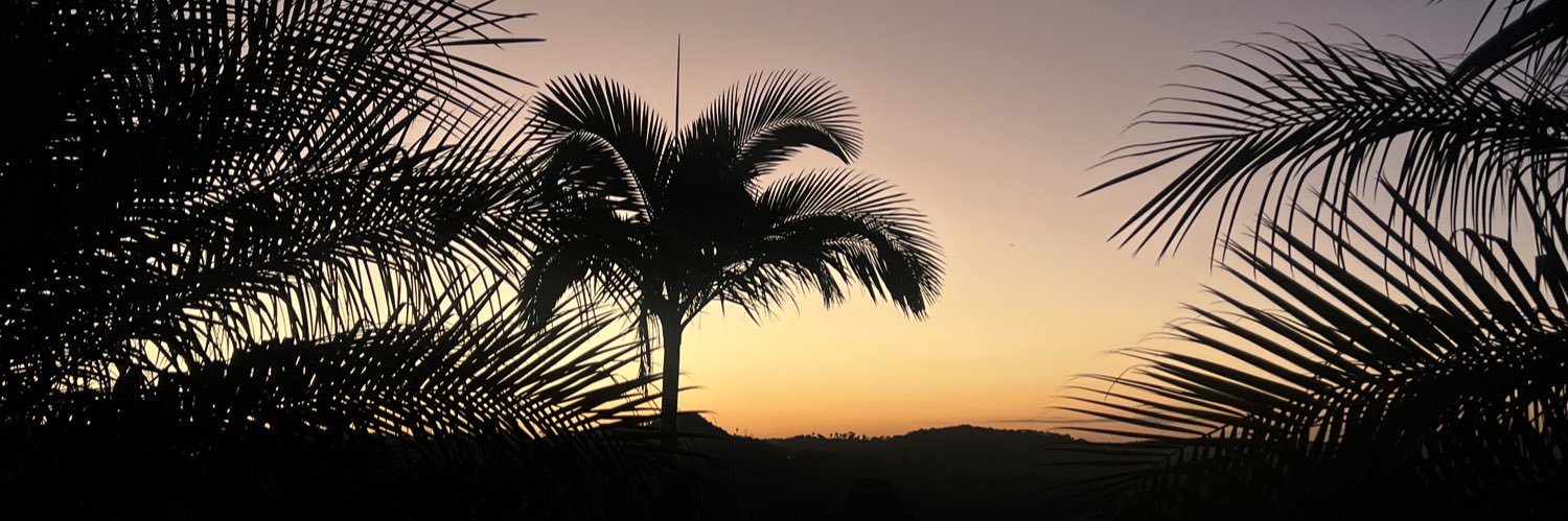 jojo_souzaa's profile banner image