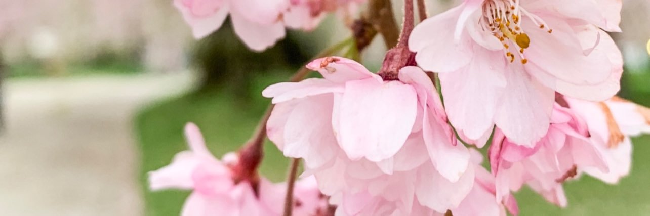 yabco___'s profile banner image