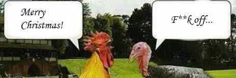 The Liberal Brain banner