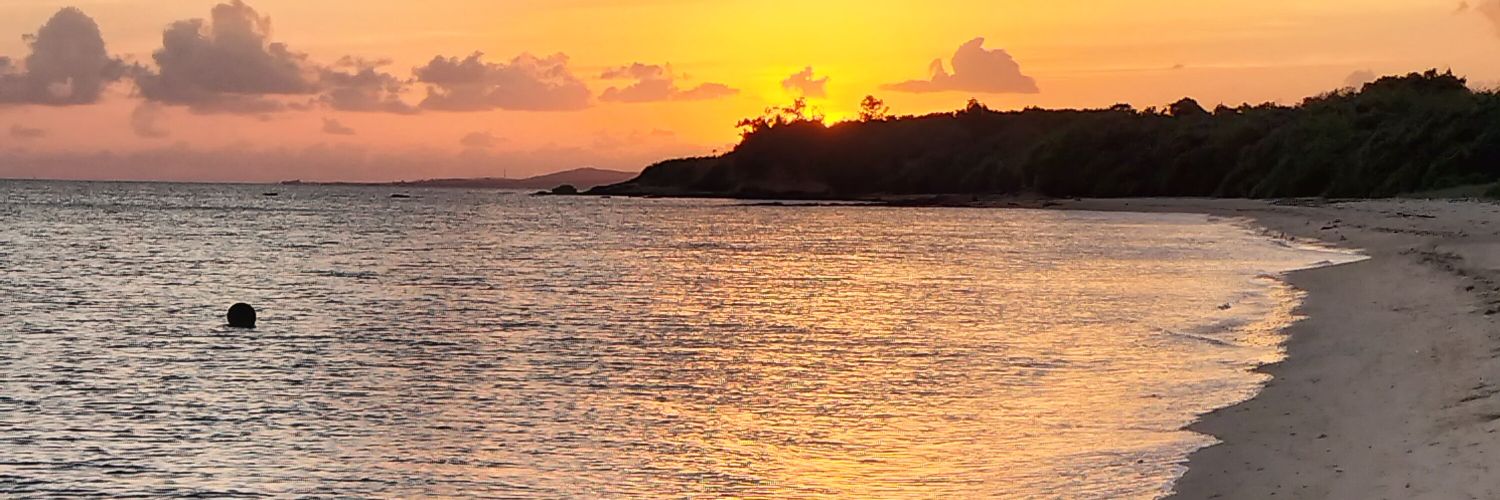 会計開示情報 banner