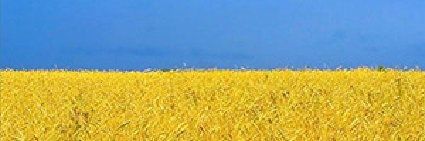 OlafKarlsson's profile banner image