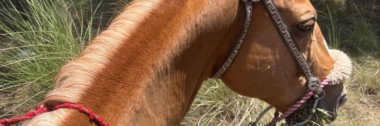 Pam2425's profile banner image