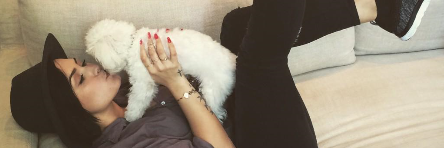 cheeksdemi's profile banner image