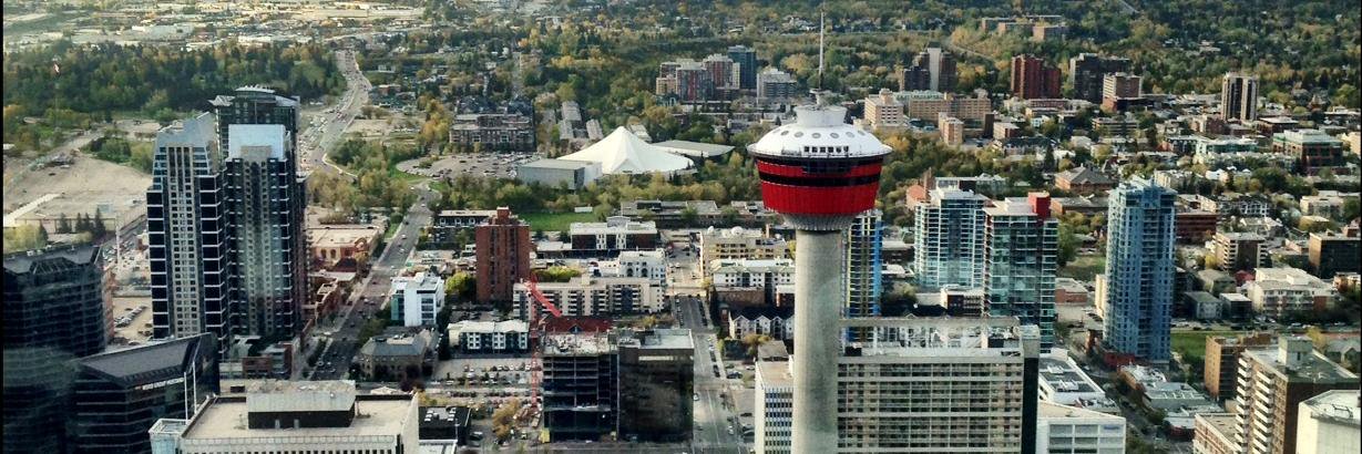 Tabitha Beaton banner