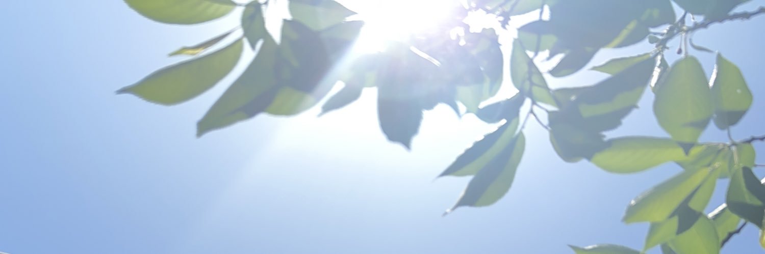 water_tree811's profile banner image