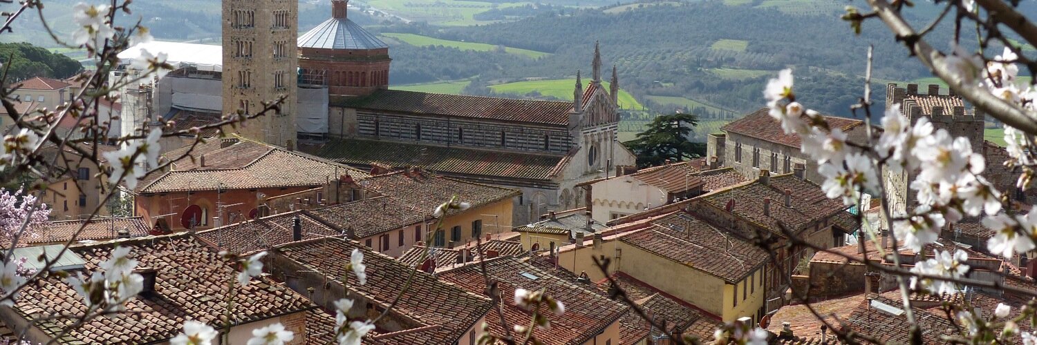 MaremmaGuide's profile banner image
