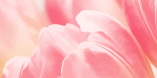 melbcouple's profile banner image