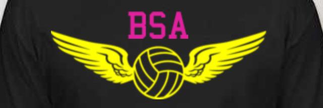 Boca_spikeball's profile banner image