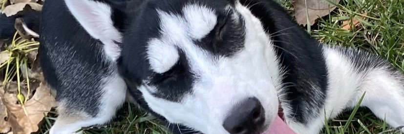 luhmaraa's profile banner image