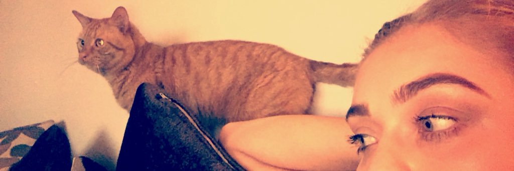 Clo_Rice's profile banner image